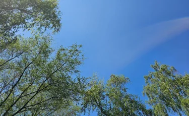 Күн ашық болады: жексенбінің ауа райы болжамы