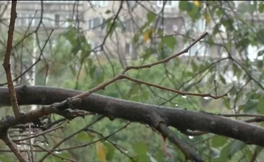 Нөсер, бұршақ, найзағай: Алматыда демалыс күндері ауа райы бұзылады