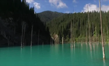 Елімізде туризм саласы қалай дамуды