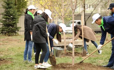 Алматыда 2100-ден астам жас «Жасыл ел» экологиялық жасағына жұмысқа орналасады