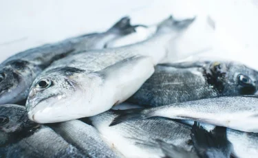 В Мангистауской области раскрыто незаконное хранение осетровых рыб