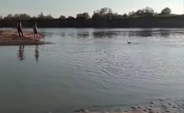 В Алматы усилят контроль за водоемами в период летних каникул