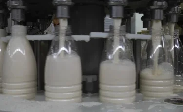 В Костанае за бракованную партию молочной продукции лаборант предстала перед судом