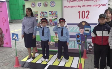 Профессия мечты: для чего в школах проводят профориентационные занятия