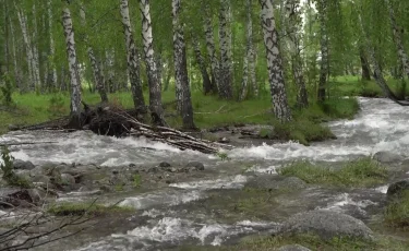 Селеопасный сезон: в Восточном Казахстане спасатели проводят учения среди госслужащих