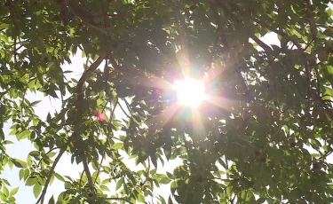 20 мамырға арналған ауа райы болжамы