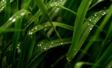 Снег, град и туман: где в Казахстане природа готовит испытания на 1 мая