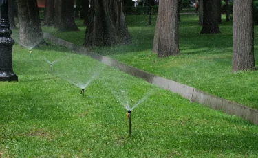 В Алматы за два года установлено более 500 км сетей автополива и капельного орошения