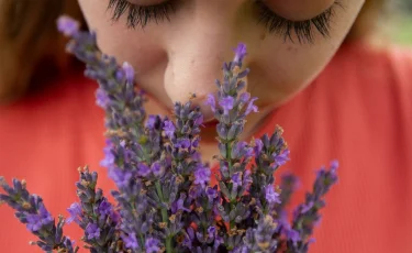 Көктемгі аллергиядан қорғану жолдары қандай