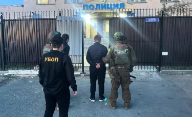 "Семей орманы" резерватынан жарты миллиард теңгенің көшеттері ұрланған