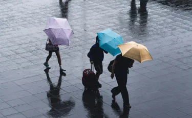 Жителям трех регионов Казахстана обещают заморозки 5 мая