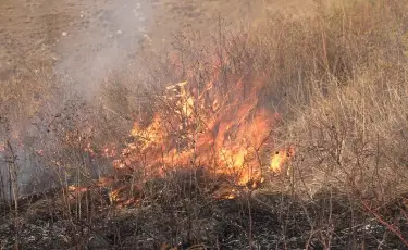 Өрт қауіпсіздік ережелерін ескермегендерге қандай жауапкершілік артылады