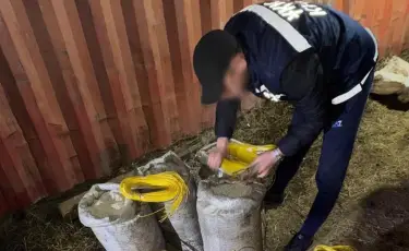 ҰҚК Ақмола облысында жарылғыш заттардың заңсыз айналымын тоқтатты