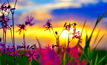 Аномальная жара до +37°C: прогноз погоды на 4 мая