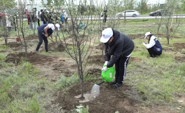 Таза Қазақстан: Алматыда қандай іс-шаралар атқарылды