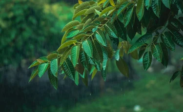 5 мамырға арналған ауа райы болжамы