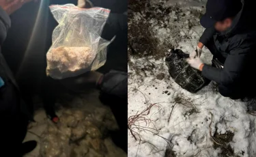 Силовики Казахстана, России и Кыргызстана ликвидировали два международных наркоканала