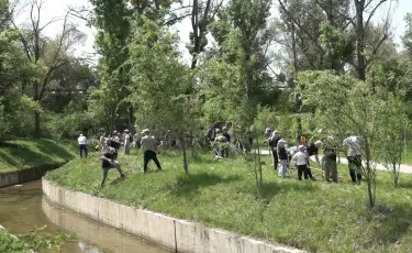 TURAQTY JOL: в Алматы школьники посадили 150 молодых саженцев