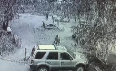 Петропавлда әйел баласымен шекісіп қалған бүлдіршінді ұрып-соққан