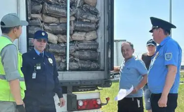 30 тонн российских яиц пытались незаконно доставить в Казахстан