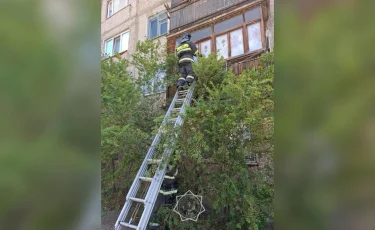 Спасатели МЧС вскрыли квартиру и спасли женщину