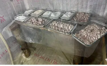 Алматыда 2 есірткі зертханасы мен ірі қойма жойылды