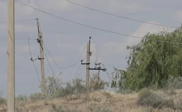 В Конаеве на пляже от удара током погиб 11-летний мальчик