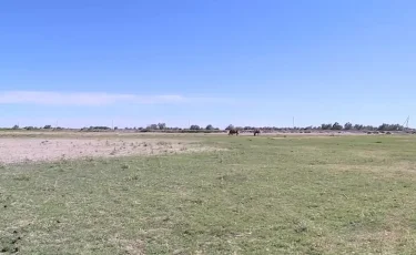 Мемлекет меншігіне қайтарылған 12,2 млн гектар жердің жартысы игеруге берілді