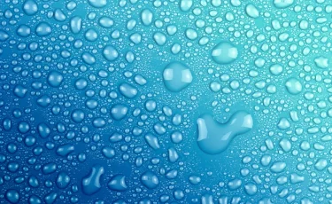 Помыл ковер - плати штраф: как казахстанцы нарушают правила благоустройства