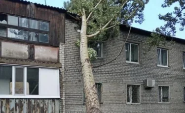 Ураган в Павлодарской области: один человек погиб, десятки объектов повреждены