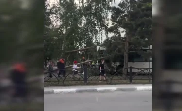 Автобус с пассажирами попал в ДТП в Костанае