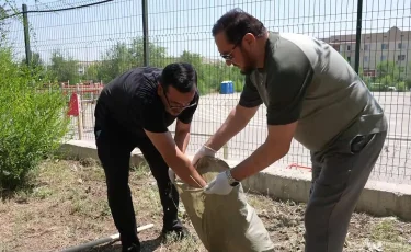 Алматының Алатау ауданында ауқымды сенбілік өтті