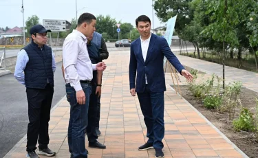 Аким Алматы выразил недовольство заменой бордюров и асфальта без серьезных дефектов