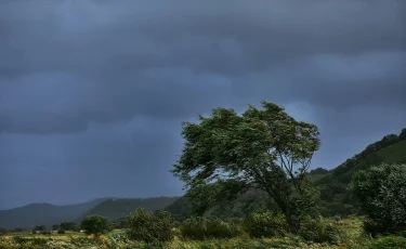Павлодар облысында дауылдан бір адам қайтыс болды