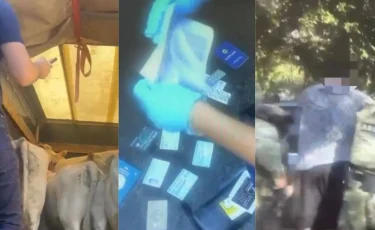 Жетісуда құны 9 млн теңгенің малын ұрлағандар анықталды