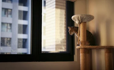 Как охладить квартиру без кондиционера: 11 простых методов