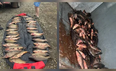 Бурабай ұлттық паркі аумағында заңсыз балық аулау фактісі анықталды