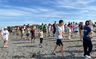 Организован летний отдых для детей за счёт бюджета региона