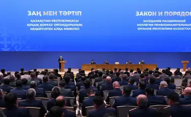 Әйелдер мен балаларды зорлық-зомбылықтан қорғау – маңызды міндет  – Президент