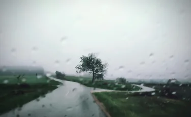 Дожди и грозы ожидаются по всей стране 20 июня