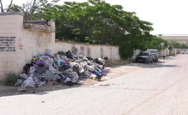 Қолқаны қапқан иіс: Ақтауда неге 6 ай заңсыз қоқыс орны тазартылмады