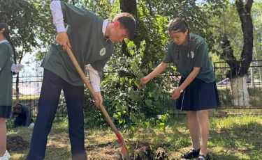Таза Қазақстан: Президент тапсырмасы бойынша 1,3 млрд көшет отырғызылды