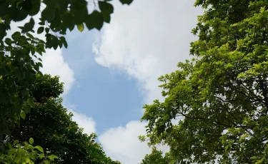 Жаркий юг и прохладный север: каким будет 24 июня