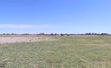 Алматыда таулы аймақтағы жерлер қайтарылды