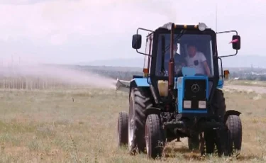 Свыше 90% площадей обработано от саранчи