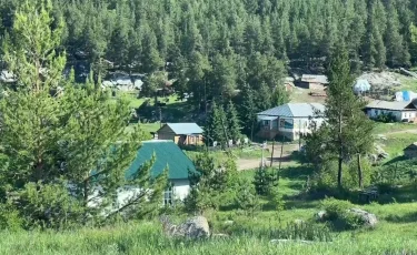 Өркениеттен ада: ШҚО-да тұрғындары тіркеуге алынбайын ауыл бар