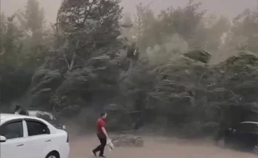 Режим ЧС объявят в трех городах Павлодарской области из-за прошедшего урагана