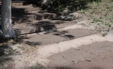 Пожары и аллергия: жители Петропавловска жалуются на большое количество тополиного пуха