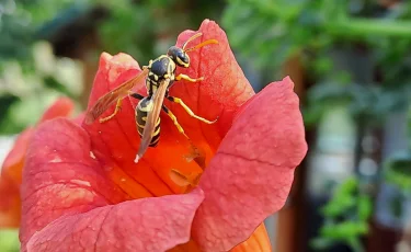 Контрасты погоды: север Казахстана зальёт дождём, юг охватит жара