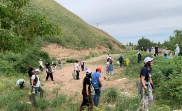 Таза жағажай – таза өзен: Алматы облысында акцияға 100-ден аса адам қатысты